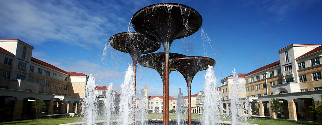 frog fountain